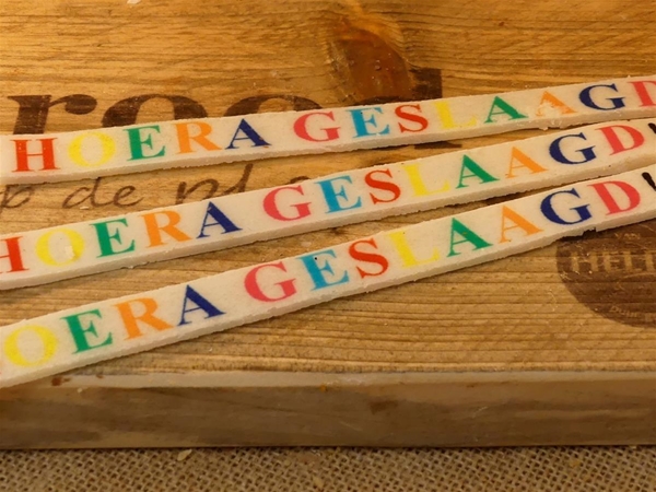 HOERA GESLAAGD STRIP
